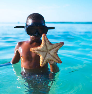 King Daughter Says Her Mother’s Papers Should Be Published