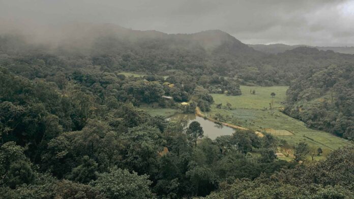 coorg