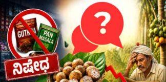 ಗುಟ್ಕಾ ನಿಷೇಧ: ಅಡಿಕೆ ಬೆಲೆಗೆ ಹೊಡೆತ ಬೀಳುತ್ತಾ? ರೈತರಿಗೆ ಎದುರಾಗಬಹುದಾದ ಪರಿಣಾಮವೇನು?